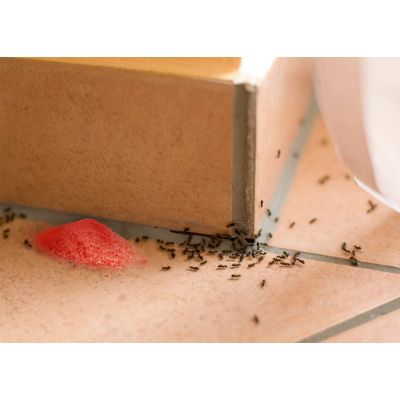 Trutka na mrówki preparat proszek 275 g VACO GREEN GARDEN