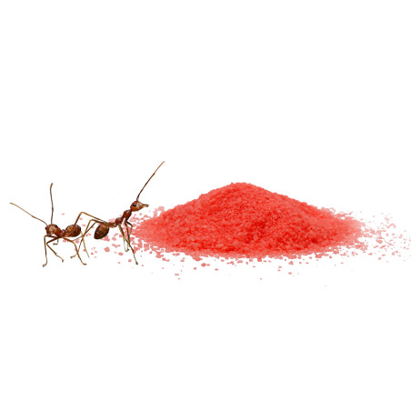 VACO Proszek na mrówki MAX - 1 kg
