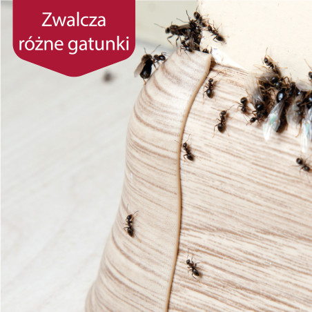 1,1kg Silna Trutka na Mrówki Preparat na Mrówki Środek na Mrówki Granulat Likwiduje Gniazda Proszek na Mrówki GOODSHOT