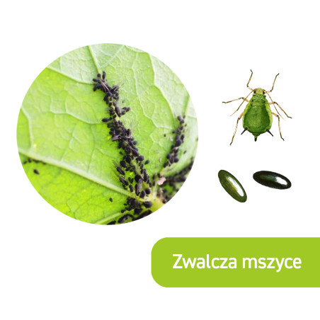 Preparat na mszyce Spray na mszyce Płyn 400ml VACO GREEN GARDEN