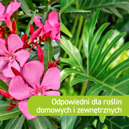 Preparat na mszyce Spray na mszyce Płyn 400ml VACO GREEN GARDEN