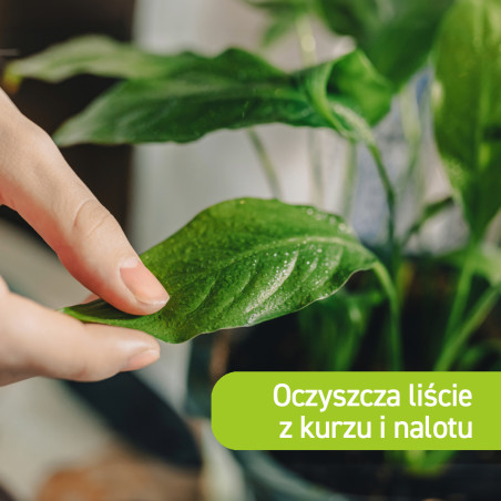 Preparat na mszyce Spray na mszyce Płyn 400ml VACO GREEN GARDEN