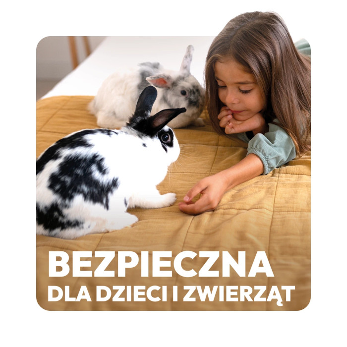 Pułapka na mole spożywcze ubraniowe  2w1 Lep na mole 2szt VACO