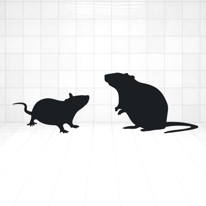 2kg Trutka na Szczury Myszy Pasta Bromadiolon Bitrex VACO 2x 1kg 2kg Trutka na Szczury Myszy Pasta Bromadiolon Bitrex VACO 2x 1kg