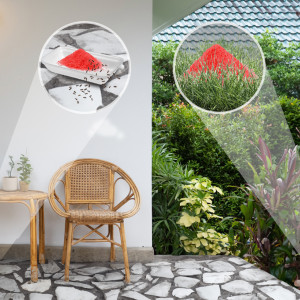 2kg Proszek na Mrówki Preparat na Mrówki Usuwa Gniazda VACO MAX 2x 1kg