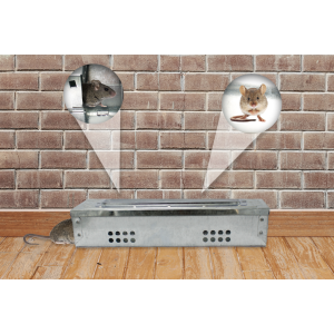 Pułapka na myszy Żywołapka na myszy wąska