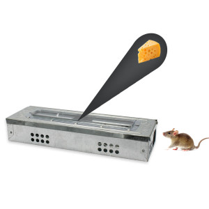 Pułapka na myszy Żywołapka na myszy wąska